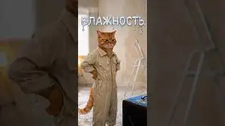 Про влажность стен