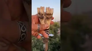 Functional Art: Hand Engraved Bone Handle Bowie Knife | Huntrians