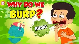 Why Do We Burp? | How Burping Occurs? | Is Belching Just Bad Manners? | The Dr. Binocs Show