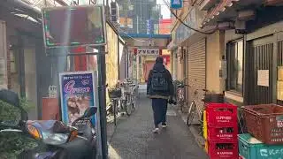 Golden Ginkos in Ogikubo Temples and Parks | Copywrite Free HD B-Roll Footage of Tokyo Japan