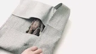rabbit bat