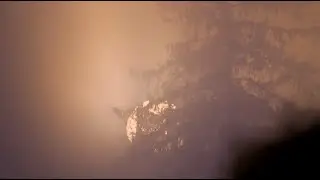 Boordy Vineyard/Kilgore Falls -- MICA Fall 2025 Student Film