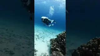 Думаете уже все посмотрели на Пхукете?