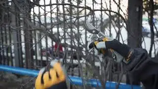 31032 K&Eacute;O CẮT TỈA CẮT VỎ 8