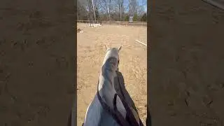Pole jumping