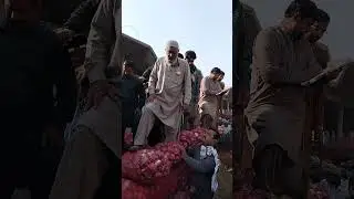 راشد علی فوجی فیصل آباد سبزی منڈی سدھار موبائل نمبر 03026054890