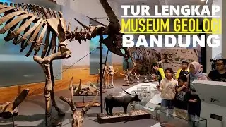 Full walking tour Bandung Geological Museum ‼️ [Tur keliling lengkap Museum Geologi Bandung] ❗