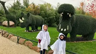 Самый лучший зоопарк, в котором мы были! Боваль. Zooparc Beauval octobre 2019.