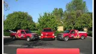 Pest Control Mesa AZ -- Dynamic Pest Control (480) 964-0145