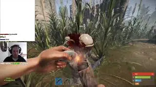 Zuckles Kills xQc With Eoka Pistol in Rust - Chat Reaction - Twitch Highlight
