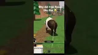 *roblox coil noises* #wildwest #gunslinger #outlaws #hunting #wildwest #funny #westbound