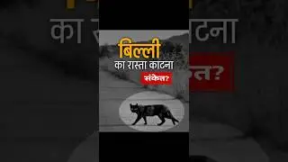 यह गलती मत करना ❌असली सच! 🐈&zwj;⬛ |Science Behind Black Cat Superstition | Vinod Singh Insights