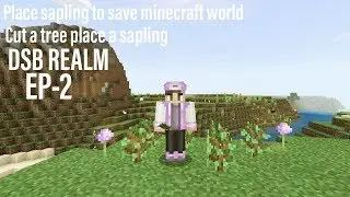 CUT A TREE PLACE A SAPLING||NEW MINECRAFT PE VIDEO IN DSB REALM||IN BANGLA||EP-2