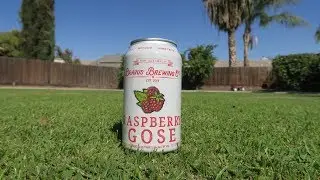 Bravus Brewing Company - Raspberry Gose (Non-Alcoholic Craft Beer)