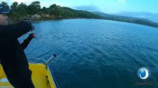 🚀Top Water POPOPEN 95F (🎣 & 🎵) #15 Best FISHING videos FUNNY