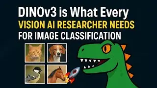 How to train Image Classification model with DINOv3 on custom dataset