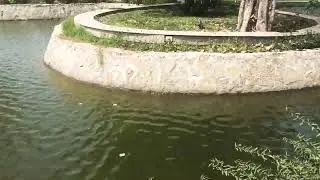 Beautiful Relaxing scene of Minar e Pakistan | Quraat Art