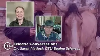 Eclectic Conversation with Dr. Sarah Matlock