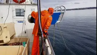 Fishing King Crab in Norway - pulling in