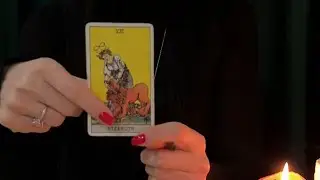 Он думал, что Вы слабая! Просчитался😀🔥👑