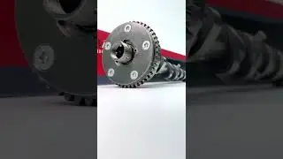 Trusted Supplier for Camshafts | Raceorly Weekly Stock Update