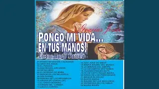 PONGO MI VIDA EN TUS MANOS