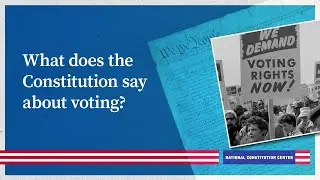 What does the Constitution say about voting?