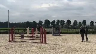 JACK - 4YO Gelding - Future Derby Star