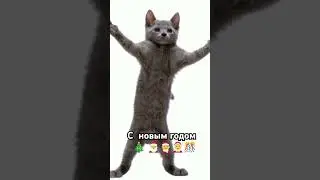 #alblak52 #мем #barboskiny #memes #barbrik #wwe #barfiks #wrestling #barbaty #мемы