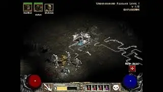 The Official Guide to Diablo 2 LoD Bone Spear Bone Spirit Teeth Bone Wall Bone Prison