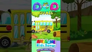 Q is for Quail! 🐦 | ABC Animals Ride the Bus