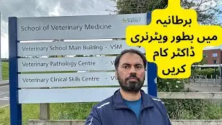 Work as Veterinary Doctor in UK 🇬🇧 | England | United Kingdom