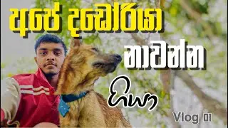 අපේ දඩෝරියා නාවන්න ගියා | day vlog srilankn | vlog 