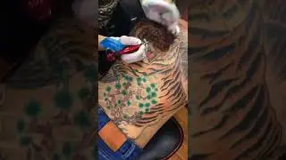 M&aacute;y xăm Thunder Cheyenne  - KIỆT T&Aacute;C BẤT HỦ TR&Ecirc;N LƯNG CỌP - HO&Agrave;NG LẬP TATTOO !