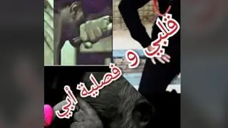 رواية قلبي و فصلية ابي البارت( الاول )#بصوتي #فصلية 