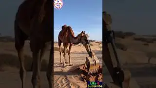 Smart earth cutting machine. #shorts #shortsfeed #funnyshorts #comedyvideos #tiktok