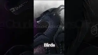 Two Birds on A Wire... // Darksight edit