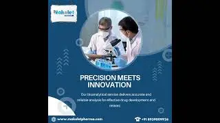 Makolet Pharma | Bio Analytical | Precision and Innovation | CRO Services