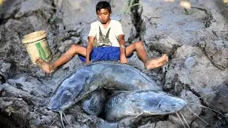 Amazing catch boy  fish in hole a lot of How To Catch Fish in Hole