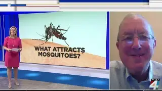 What attracts mosquitoes? The answers might surprise you