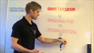 Ondt i lysken? Få styr på dine smerter i lysken!
