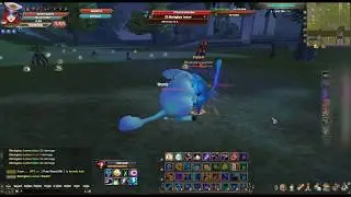 Atk lvl +5  Def lvl + 5  Blessing  - Epic perfect world