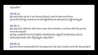 Job 38:1-21 (The LORD speaks to Job from the Whirlwind) Telugu Audio Video Bible