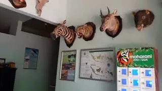 Maharani Zoo and Cave|| English for Guide