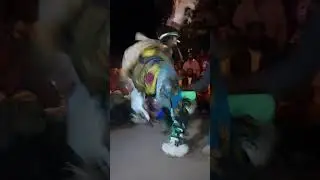 Mufakose Nyau (Mhou)
