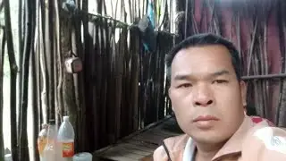 NÚI RỪNG VÀO LÁN Ở TRONG RỪNG SÂU