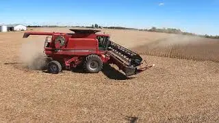 Soybeans Harvest 2020 Chasing CASE IH Farmer - 2588 Axial-Flow - 4WD 9240 - Kill Brothers 590 - 4K