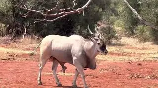 South Africa 2022 3
