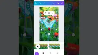 How to create animated butterfly effect in canva. #canvatutorial #butterfly #canva #canvamagic