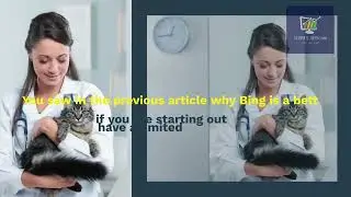 Top Bing Strategies Every Veterinary Clinic Should Be Using